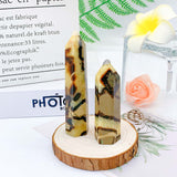 Sapatarian  Point  Tower