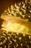 durian